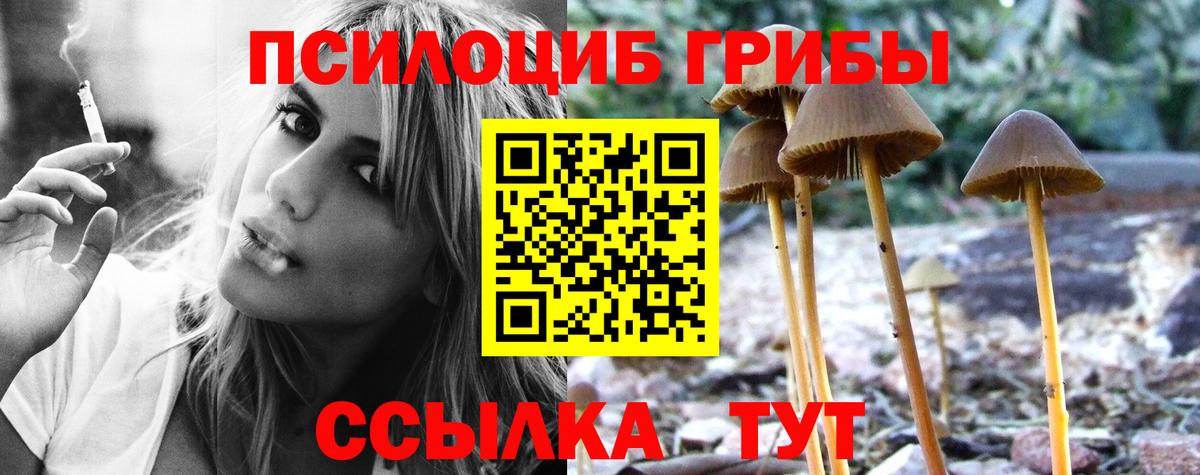 Галлюциногенные грибы мицелий  Галлюциногенные грибы Cubensis  Мичуринск  Вход с VPN 